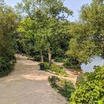 Trail to Picnic Point