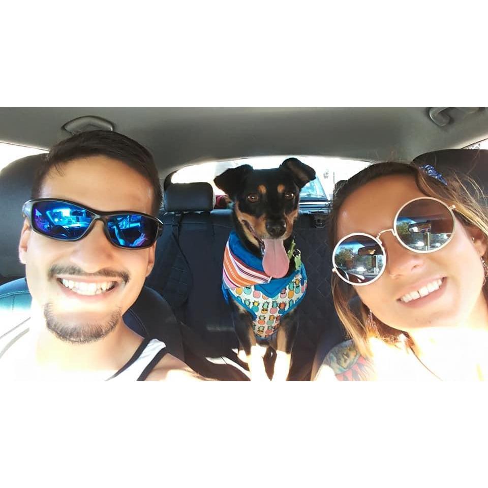 Our Yogi Bear (R.I.P. Baby)