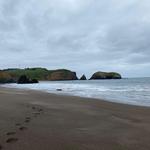 Rodeo Beach