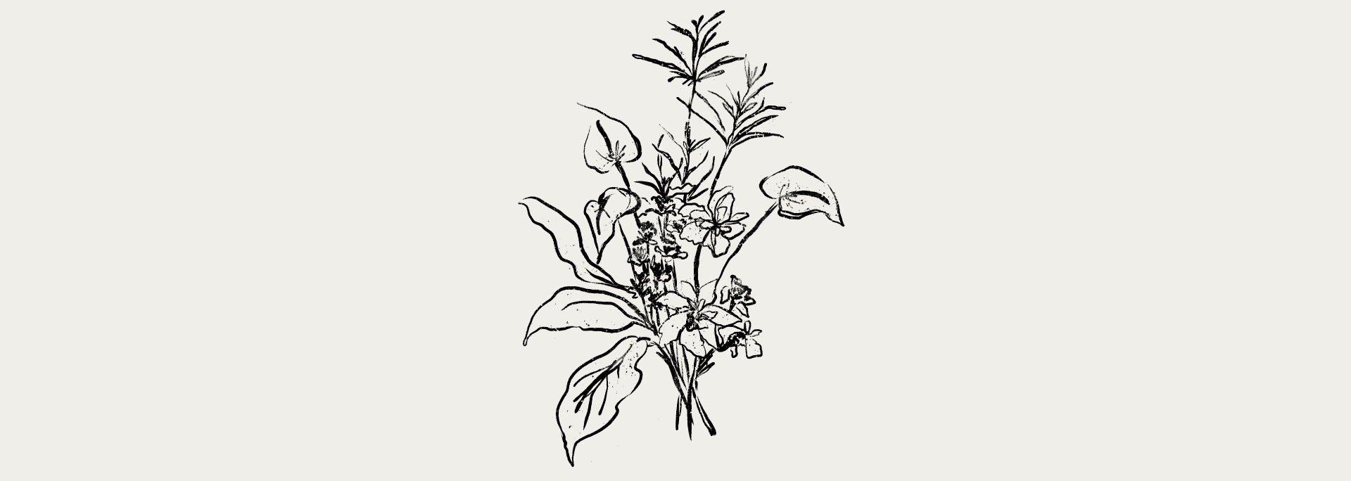 The Wedding Website of Nora Kyrkjebø and Jake Swayze