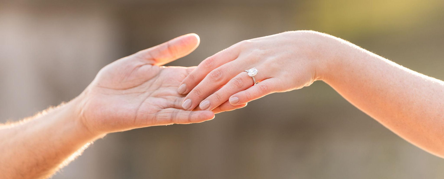 The Wedding Website of Sara Smyth and Arjun Roy