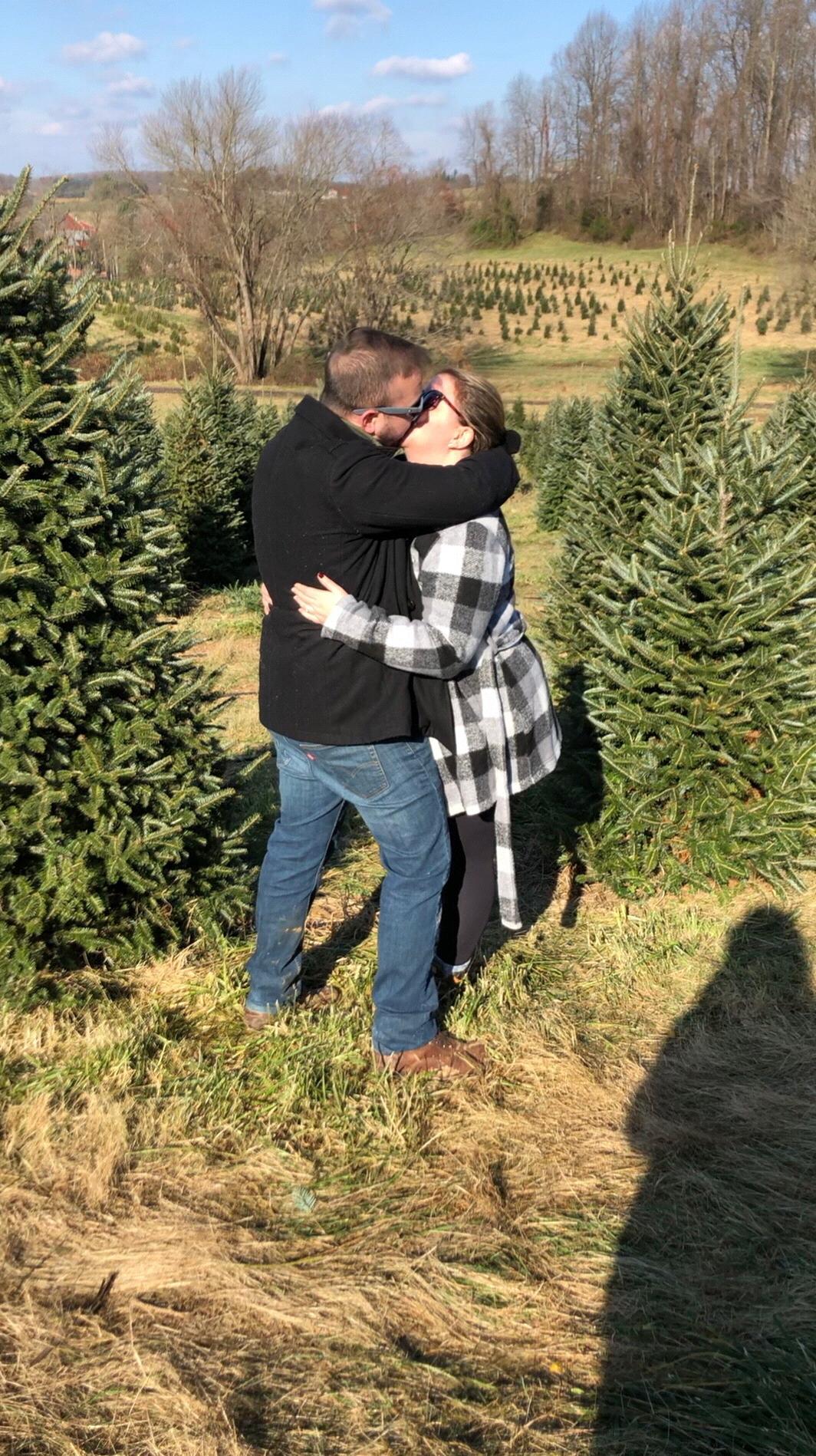 Jarrettsville Christmas Tree Farm, November 2018