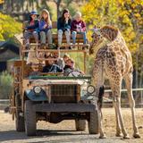 Safari West