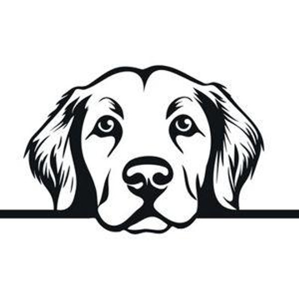 Future Dog Adoption Fund