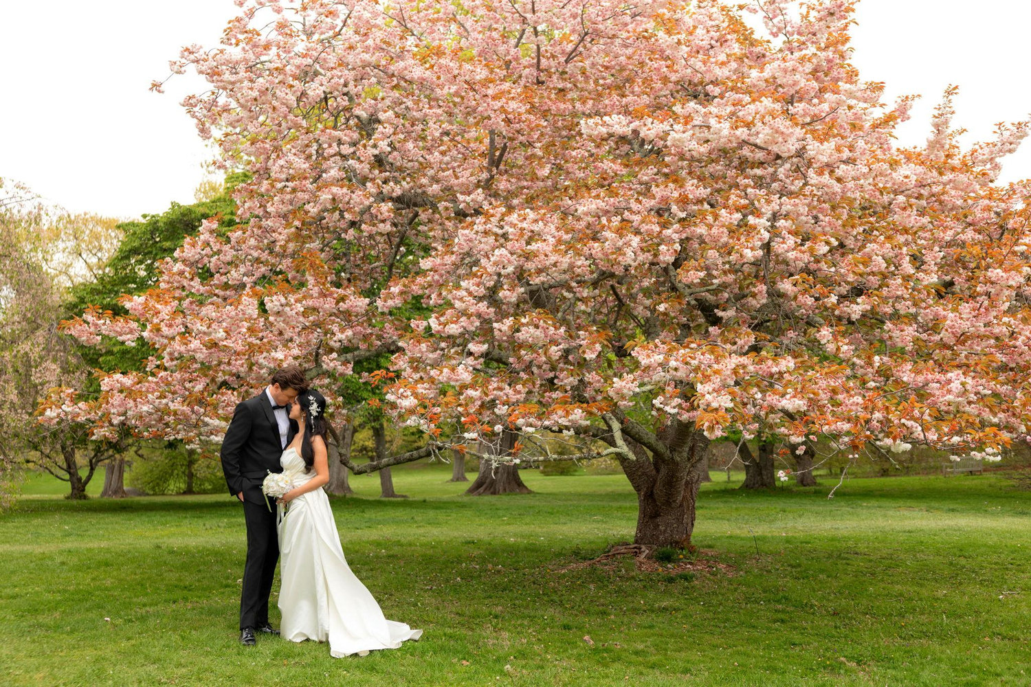 The Wedding Website of Jeanne Lee and Beau Stevens