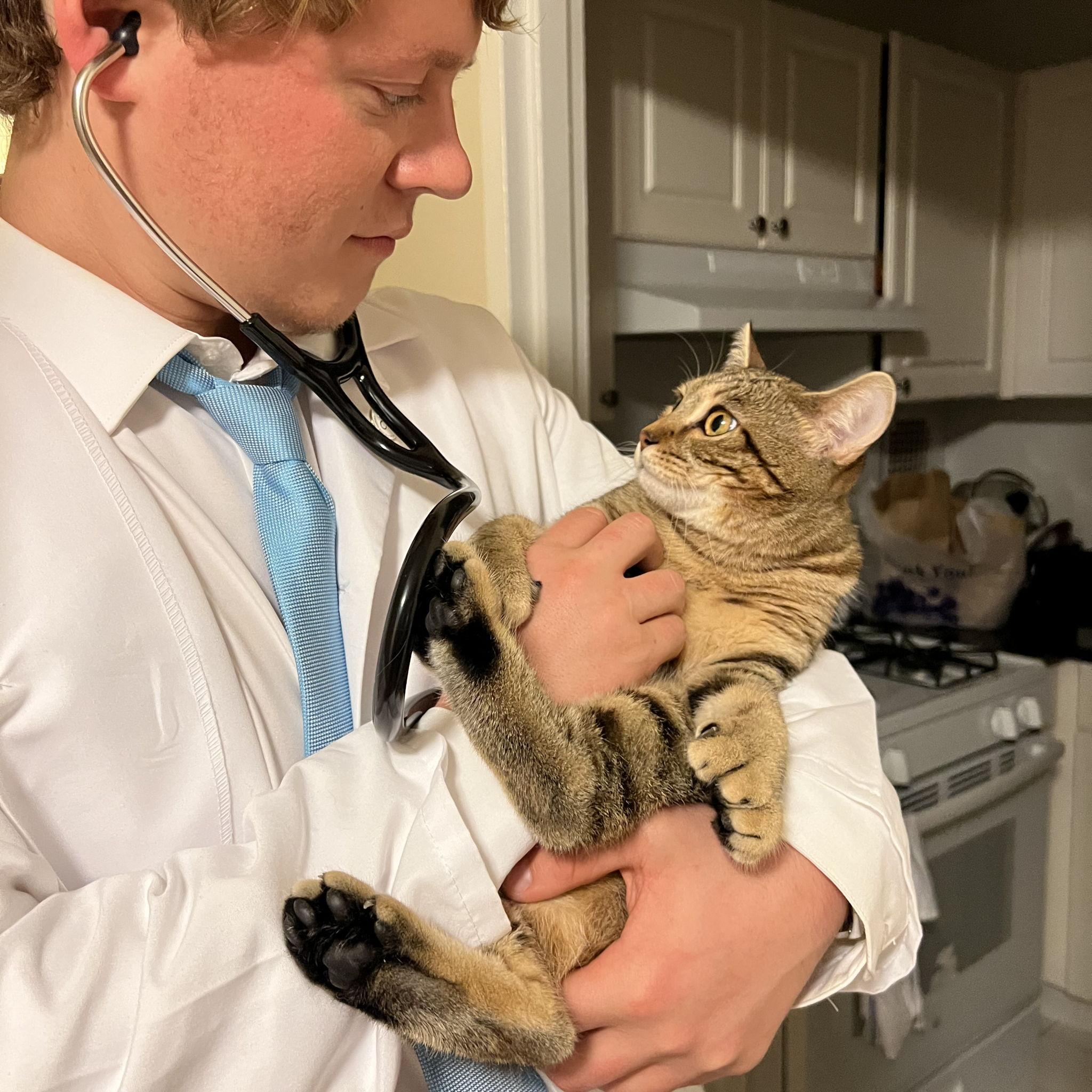 Started med school (2022)