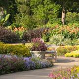Cheekwood Botanical Gardens & Estate