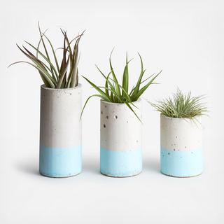 3-Piece Cylinder Planter with Air Plant Set