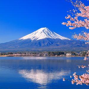 Japan Honeymoon Fund