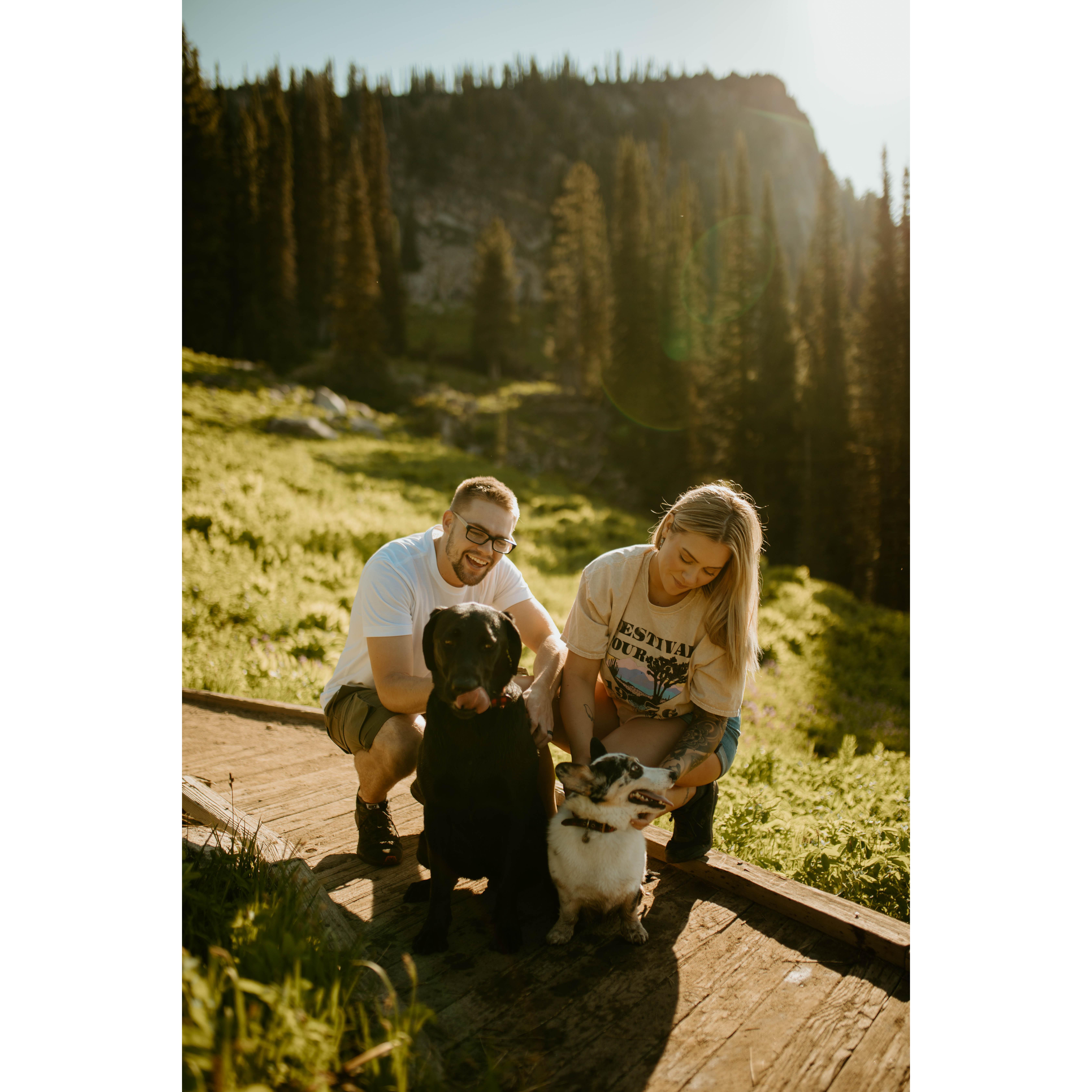 Engagement photos with our dogs July 2020!