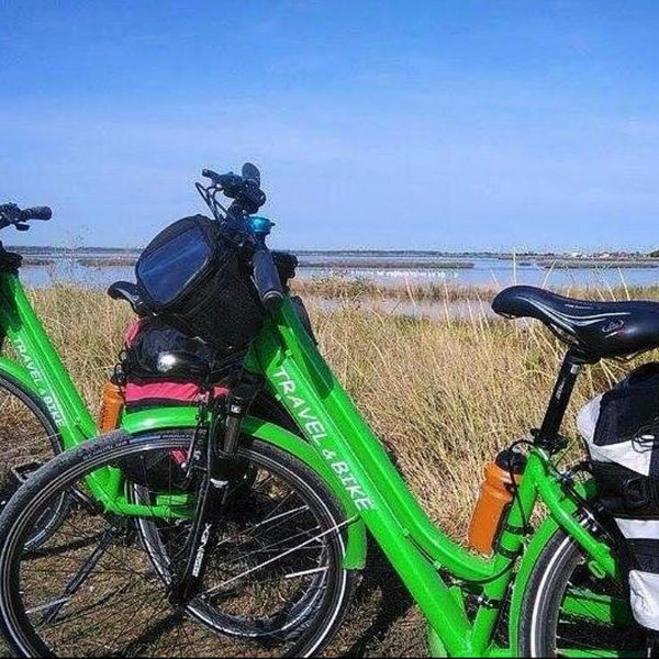 Full Day Bike Rental