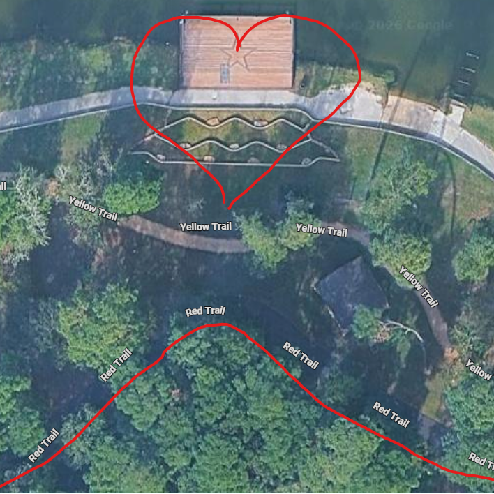 Wedding overhead view