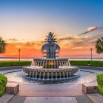 Pineapple Fountain