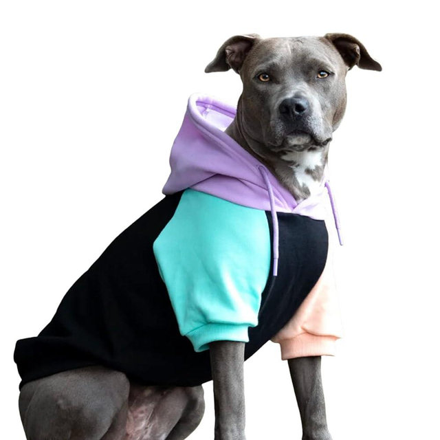 Spark Paws Dog Hoodie - Premium Quality, Buttery Soft, Superior Comfort and Fit, Calming Fleece Interior, Suitable for All Breeds - Cyber Punk - 3XL