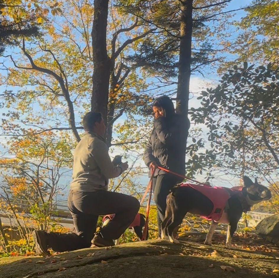 Raleigh had no idea what was happening and really wanted to keep hiking!
