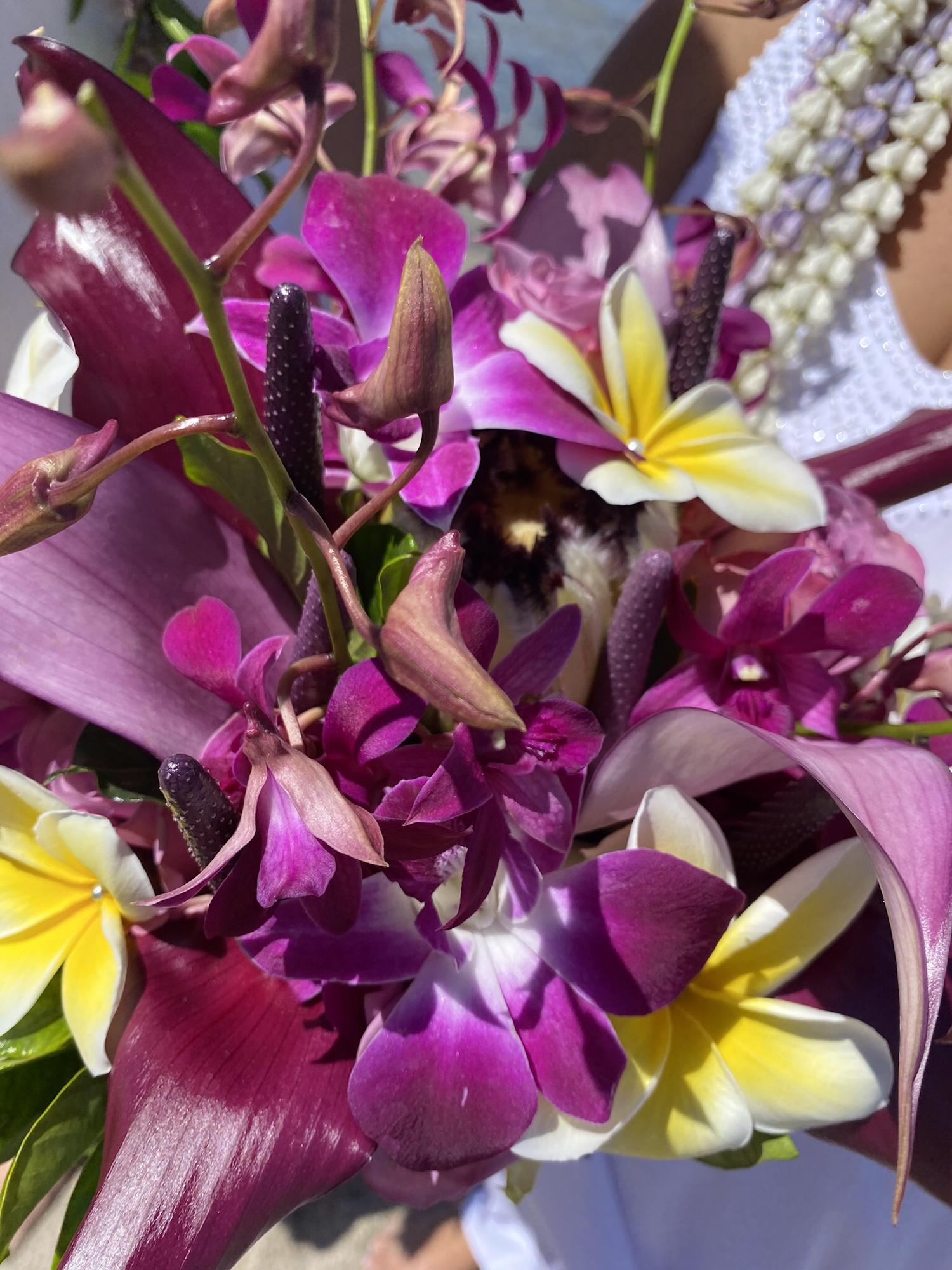 The most gorgeous bouquet from Qina Girl Floral