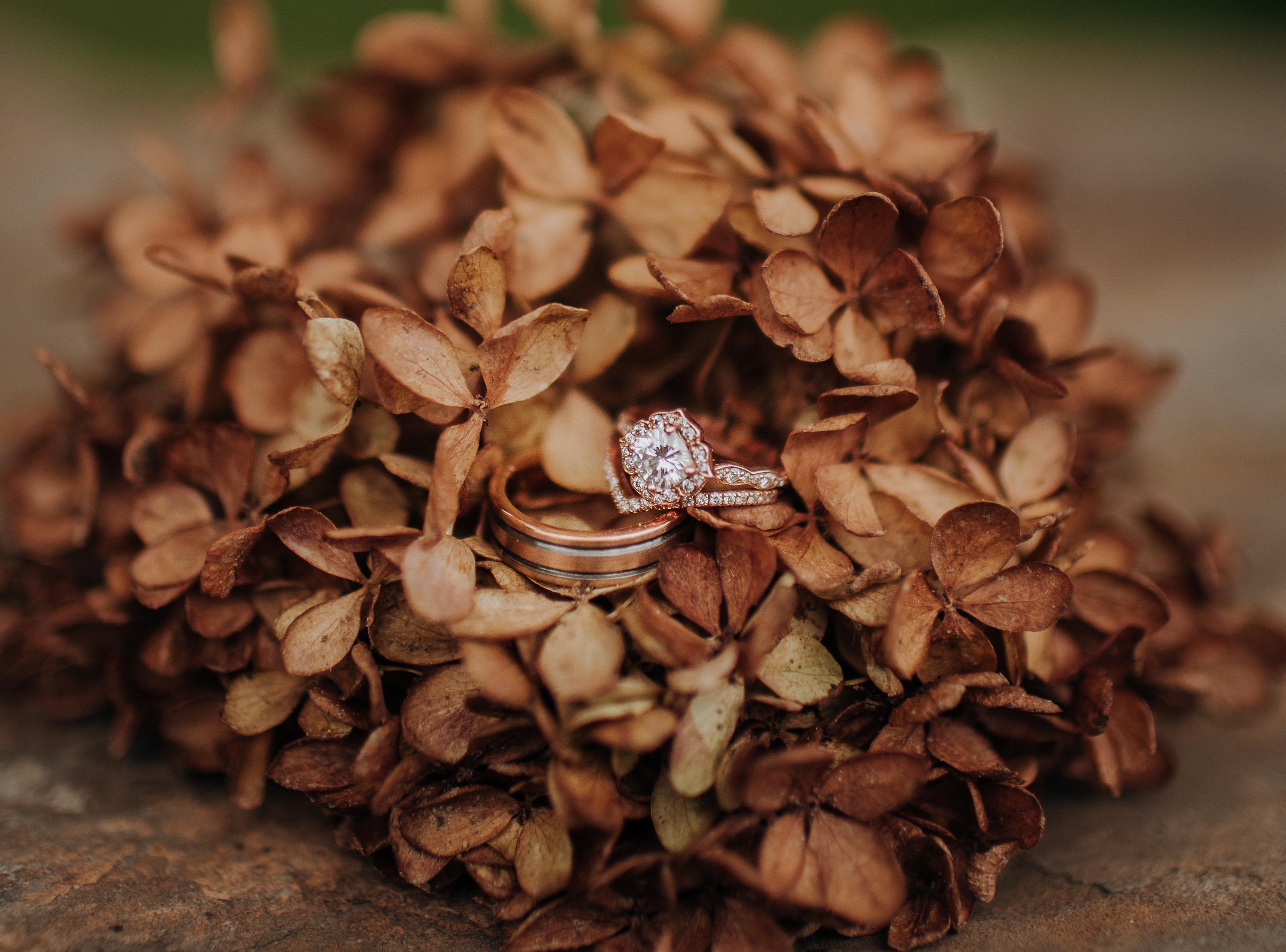 The Wedding Website of Heather Teague and Aaron Schrock