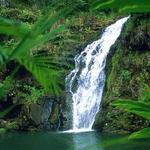 Waimea Valley