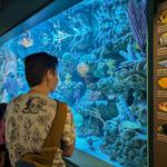Aquarium of the Pacific