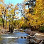 Boulder Creek Path