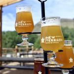 New Terrain Brewing