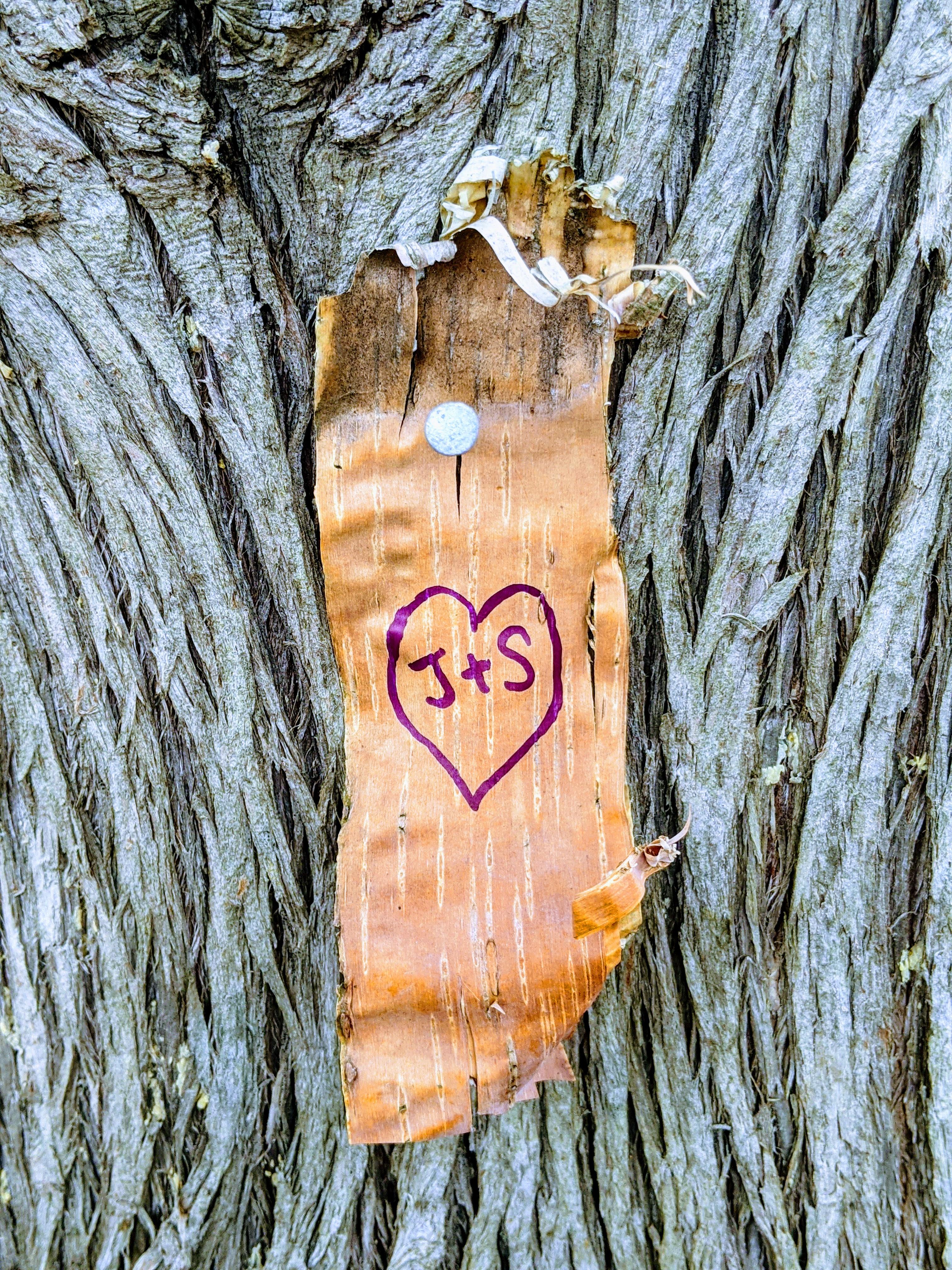 The Wedding Website of Stacy Serzans and Jeremy Orr