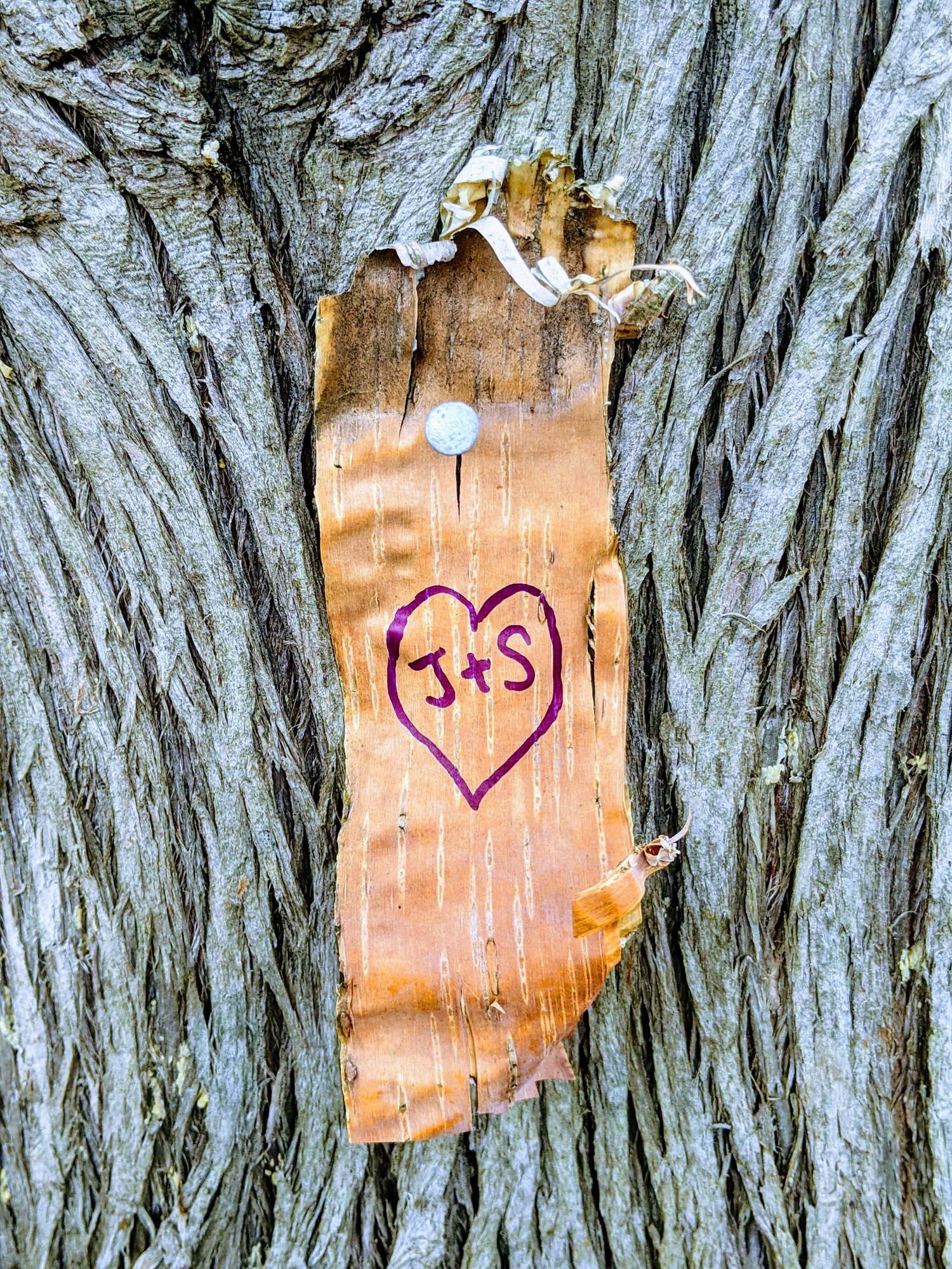 The Wedding Website of Stacy Serzans and Jeremy Orr