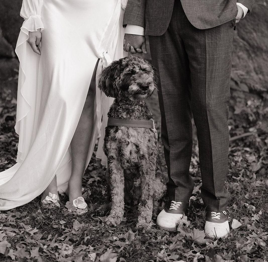 The Wedding Website of Jada Wang and Zachary Williams