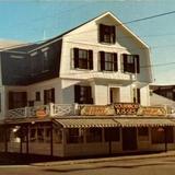 The Goldenrod