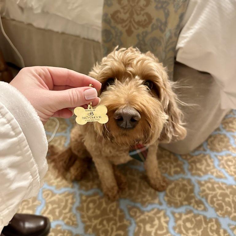 We spent the night of our elopement at The Broadmoor with Leia