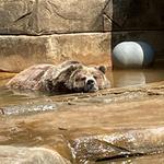 Milwaukee County Zoo