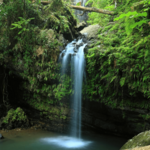 El Yunque National Forest
