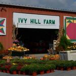 Ivy Hill Farm