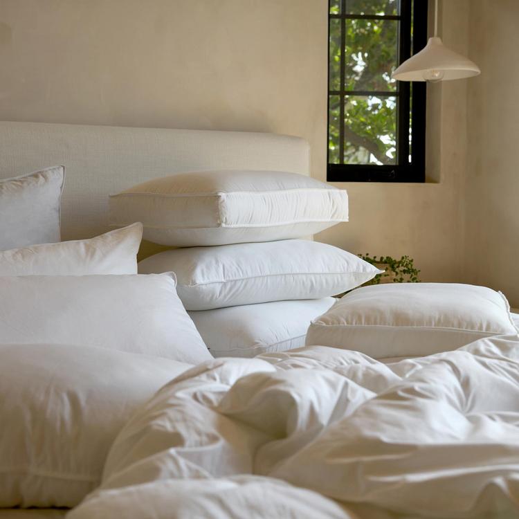 Parachute, Down Pillow | Zola