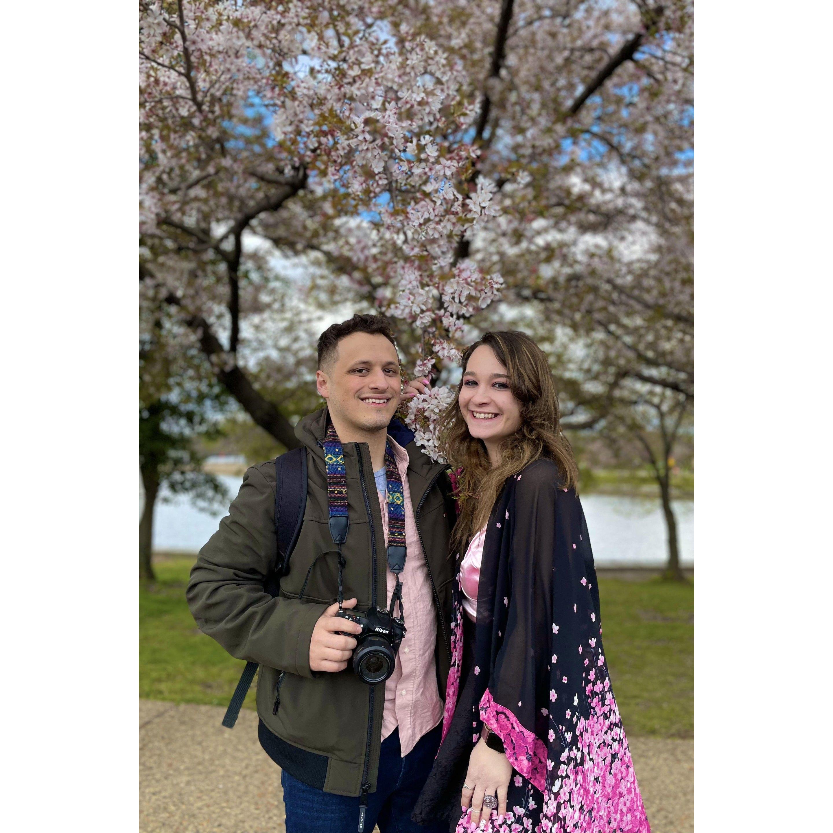 Cherry Blossom Festival in DC!