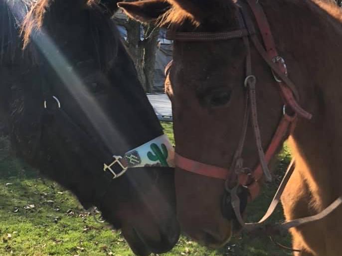 The Wedding Website of Jonna Lee and Zack Blevins