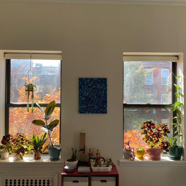 Plants for Lara 🌿