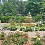 Harry P Leu Gardens