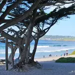 Carmel Beach