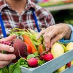Farmer’s Market Saturdays