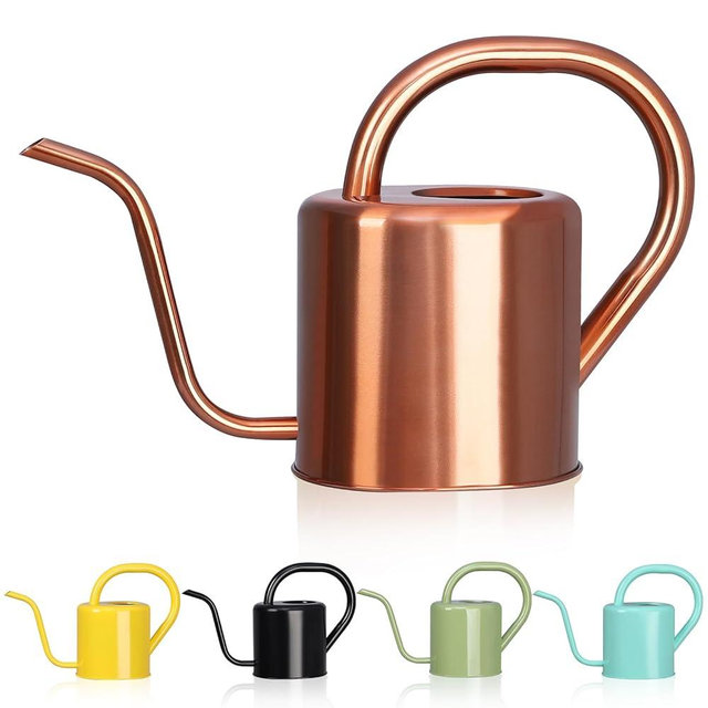 Watering Can, Stainless Steel Watering Can for Indoor & Outdoor Plants, 1L/35oz Long Spout Water Can with Handle, Rust-Proof Plant Watering Pot for House Plants, Garden Flowers