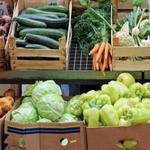 Tarrytown and Sleepy Hollow Farmers Market - The TaSH