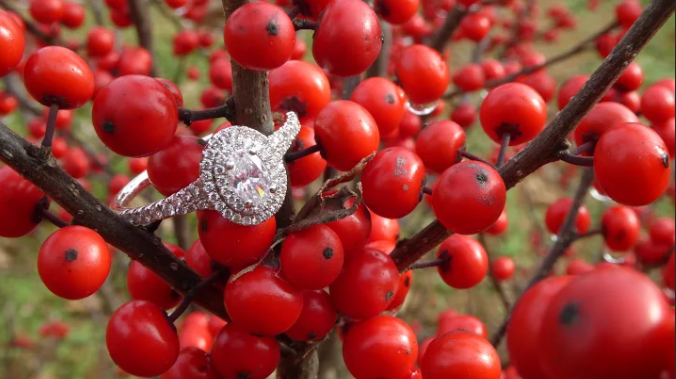 The Wedding Website of Danielle Warner and Justin Dorrell