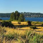 Warren G. Magnuson Park
