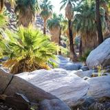 Hiking Trails