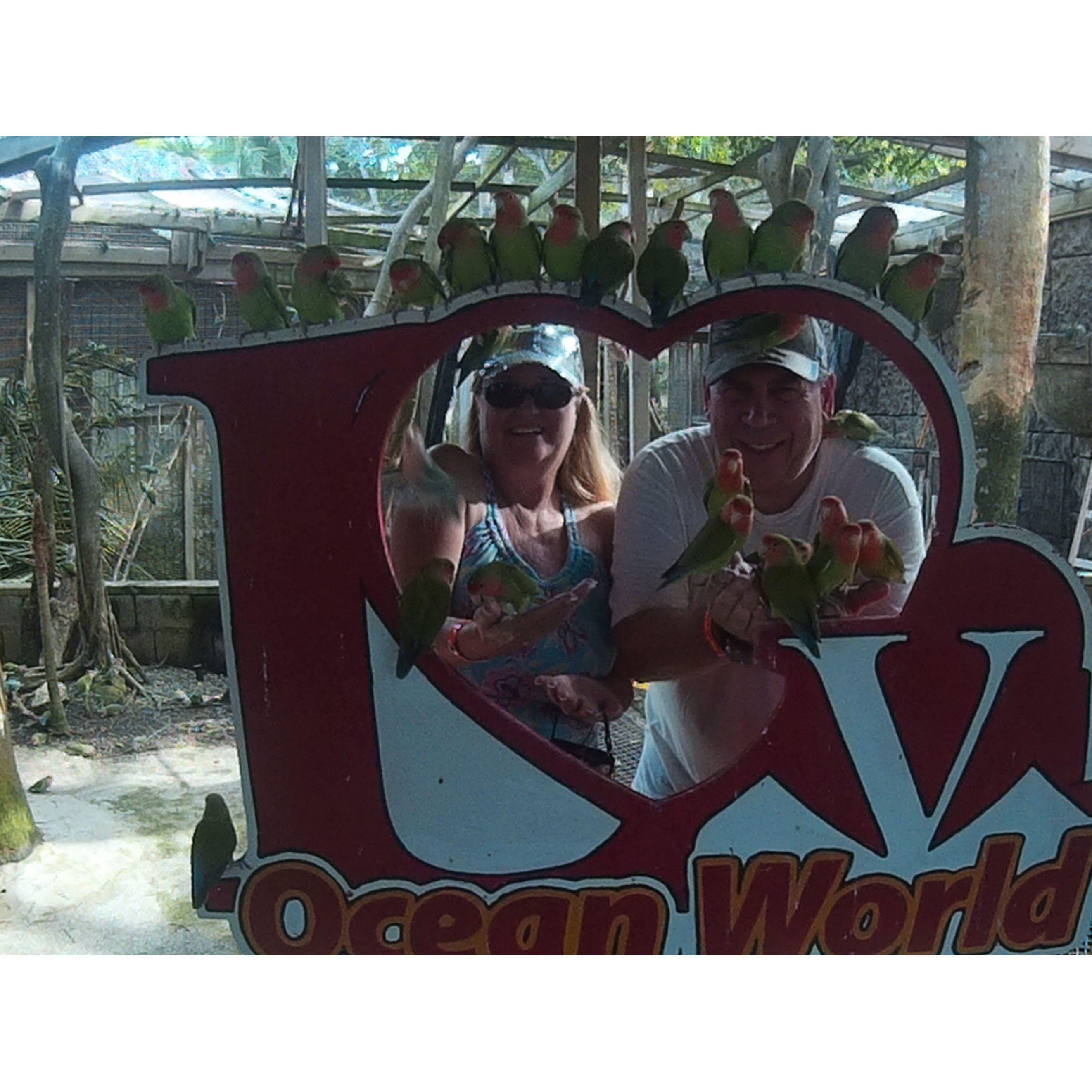 Dolphin Discovery Punta Cana, Dominican Republic. November 2017.