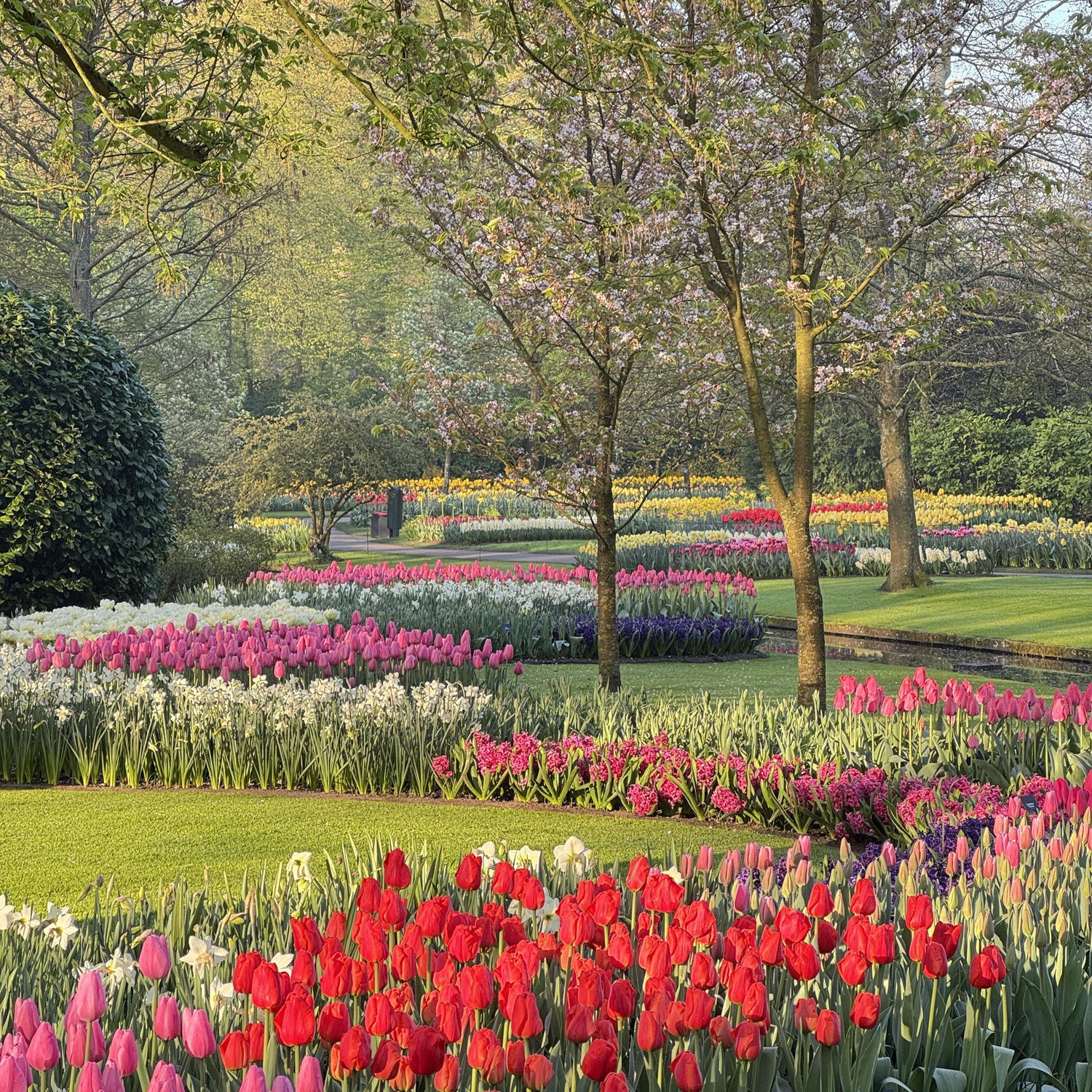Breathtaking trip to Keukenhof in Lisse, Netherlands!