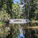 Magnolia Plantation and Gardens