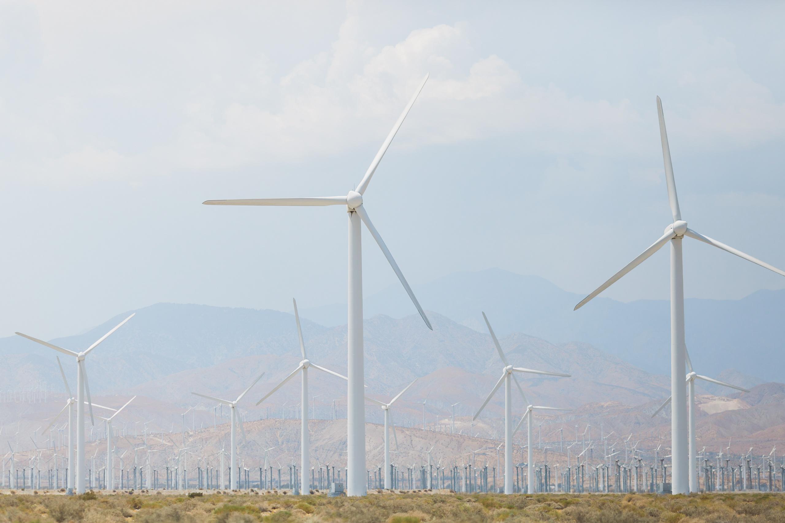 The Wedding Website of Tiffany Gentry and Michael Garafola