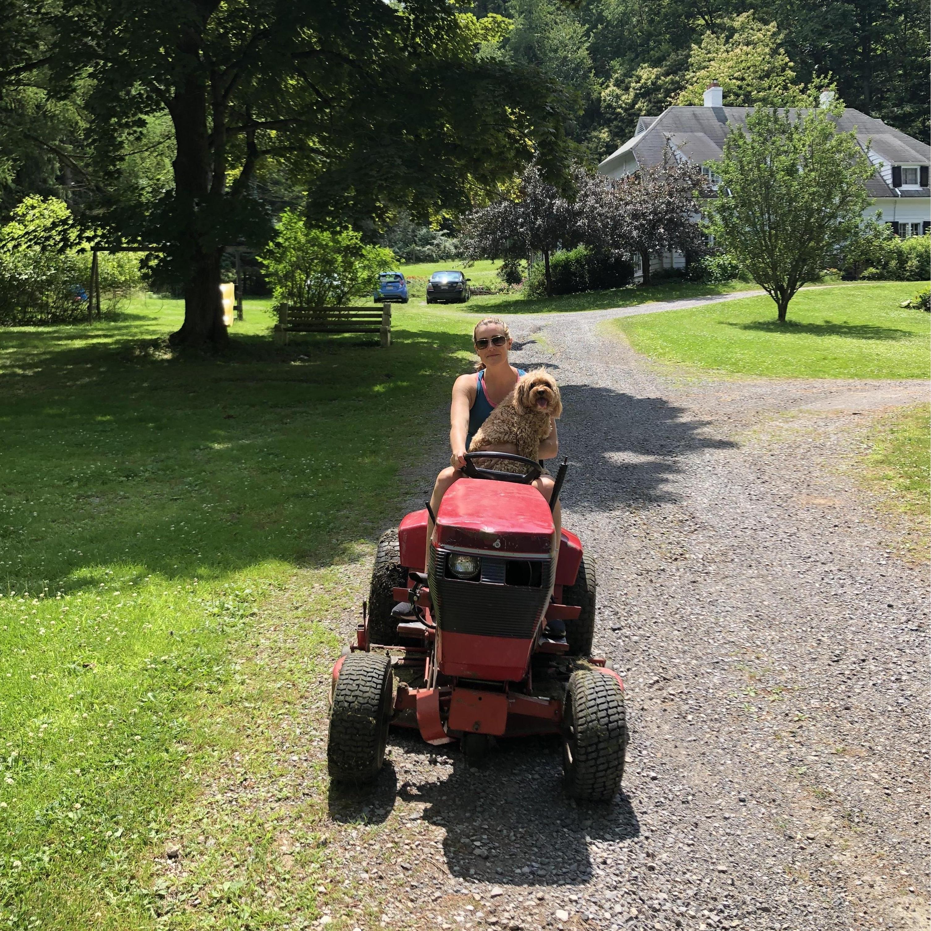 Cutting grass in Altoona. And Sam.